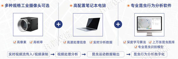 昆蟲(chóng)行為分析系統(tǒng)